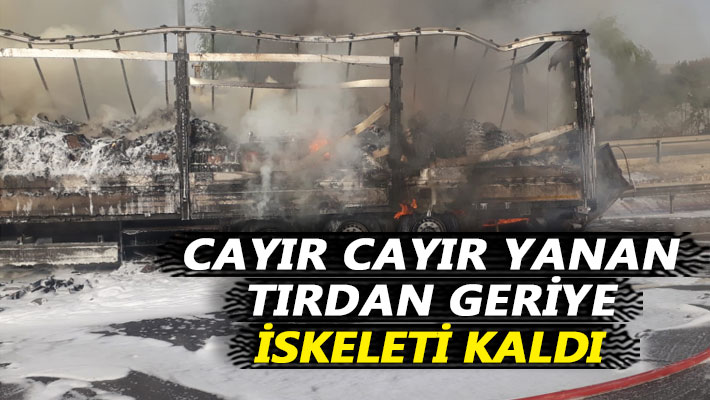 Cayır cayır yanan tırdan geriye iskeleti kaldı