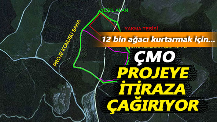 ÇMO, 12 bin ağacı kurtarmak için projeye itiraza çağırdı