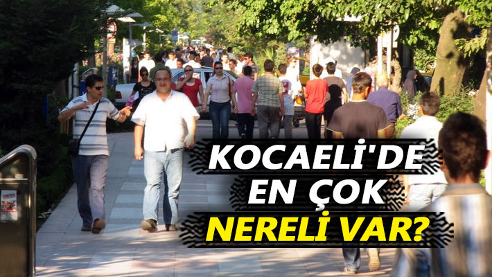 Kocaeli'de en çok nereli var?
