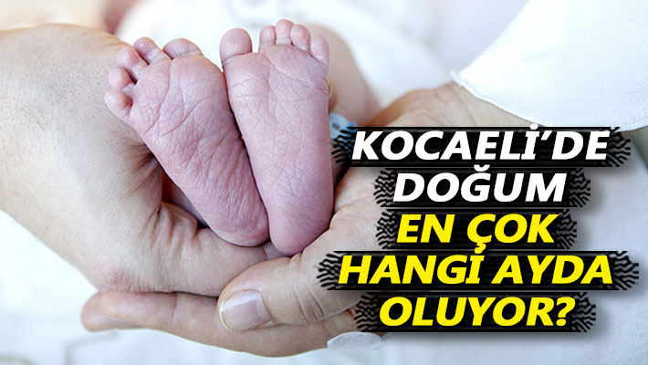 Kocaeli'de doğum en çok hangi ayda oluyor?