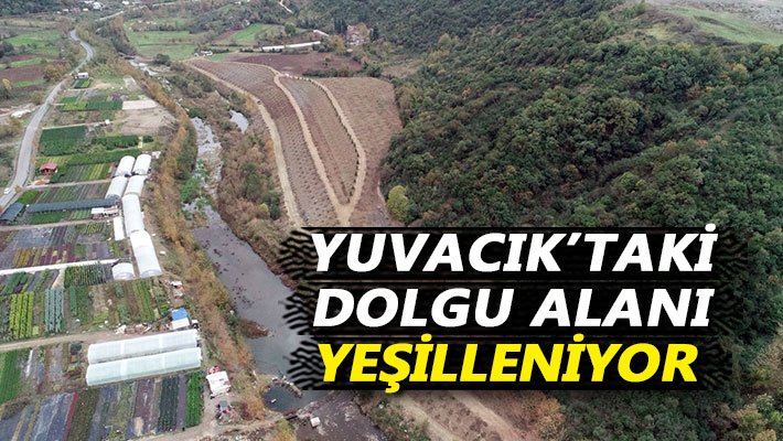 Yuvacık'taki dolgu alanı yeşilleniyor