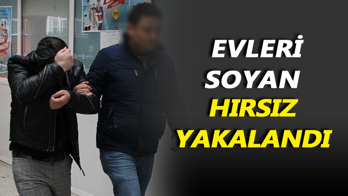 Evleri soyan hırsız yakalandı
