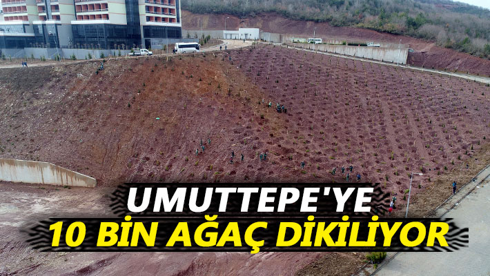 Umuttepe'ye 10 bin ağaç dikiliyor