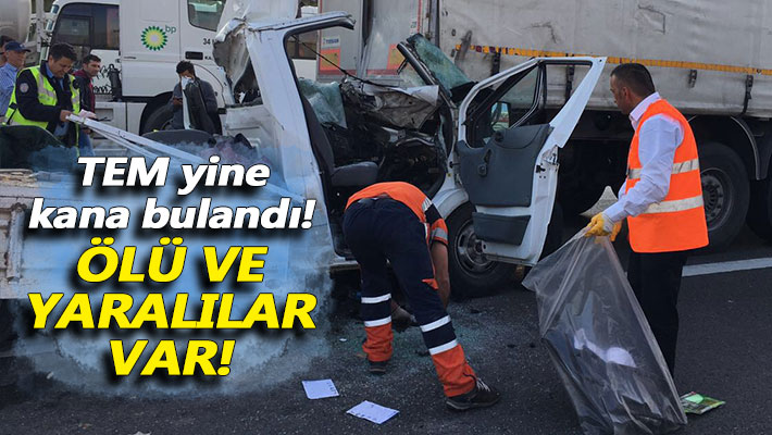 TEM Otoyolu'nda feci kaza: Ölü ve yaralılar var!