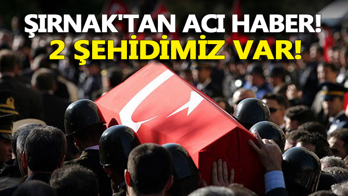 Şırnak'tan kahreden haber: 2 şehit