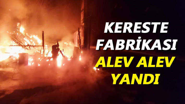 Kereste fabrikası alev alev yandı