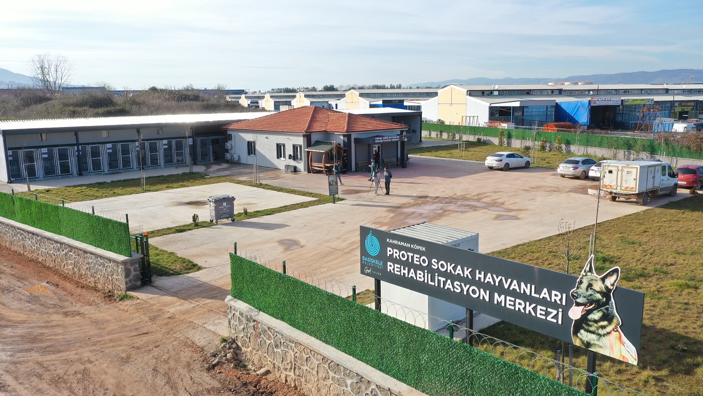 Başiskele'de Proteo Sokak Hayvanları Merkezi Büyüyor!