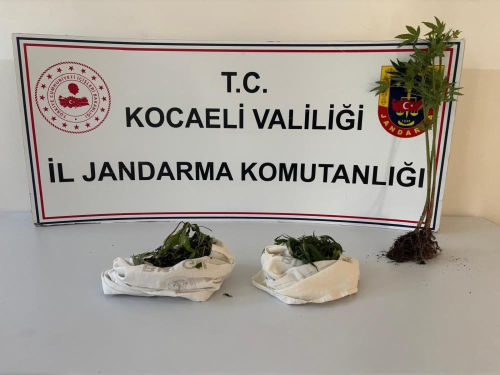 Kocaeli’de uyuşturucu operasyonu: Bin 12 uyuşturucu hap ele geçirildi