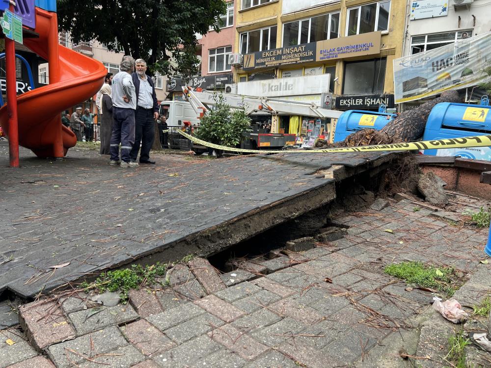 İzmit’te parkta ağaç devrildi