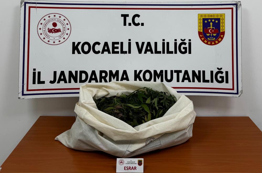 Jandarmadan 4 ilçede uyuşturucu operasyonu