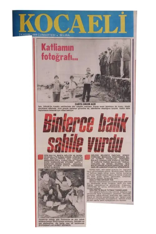 İzmit Körfezi Kocaeli Büyükşehir İle Hayat Buluyor