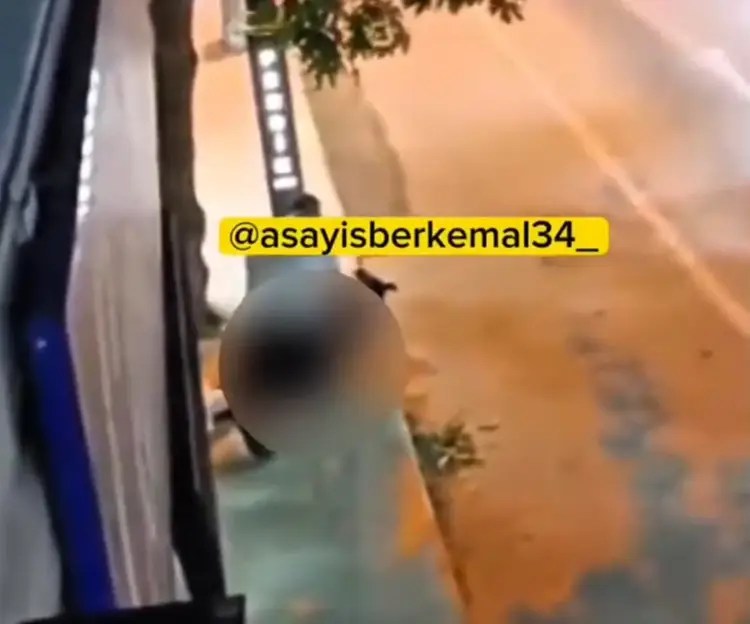 İnsanlar çıldırdı! Sokağın ortasında vahşice köpeğe tecavüz etti