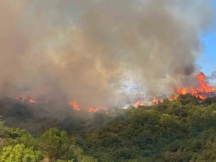 Kocaeli’de Orman Yangınına Müdahale Sürüyor