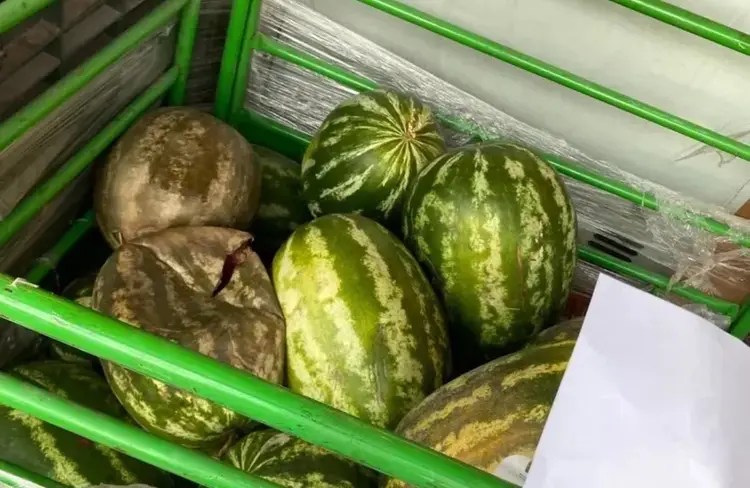 Derince’deki Şok Market’te rezil görüntü! Çürütüp, marketi sineklendireceğinize fakire fukaraya verseniz?