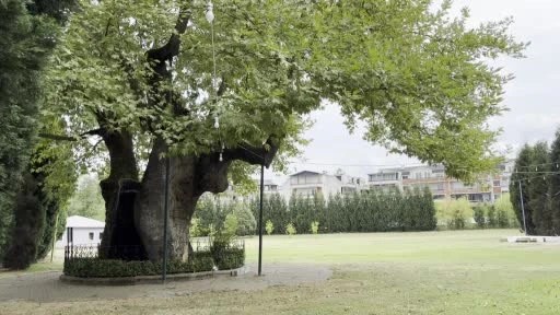 Kartepe’deki bu bilgiye inanmakta güçlük çekeceksimiz!