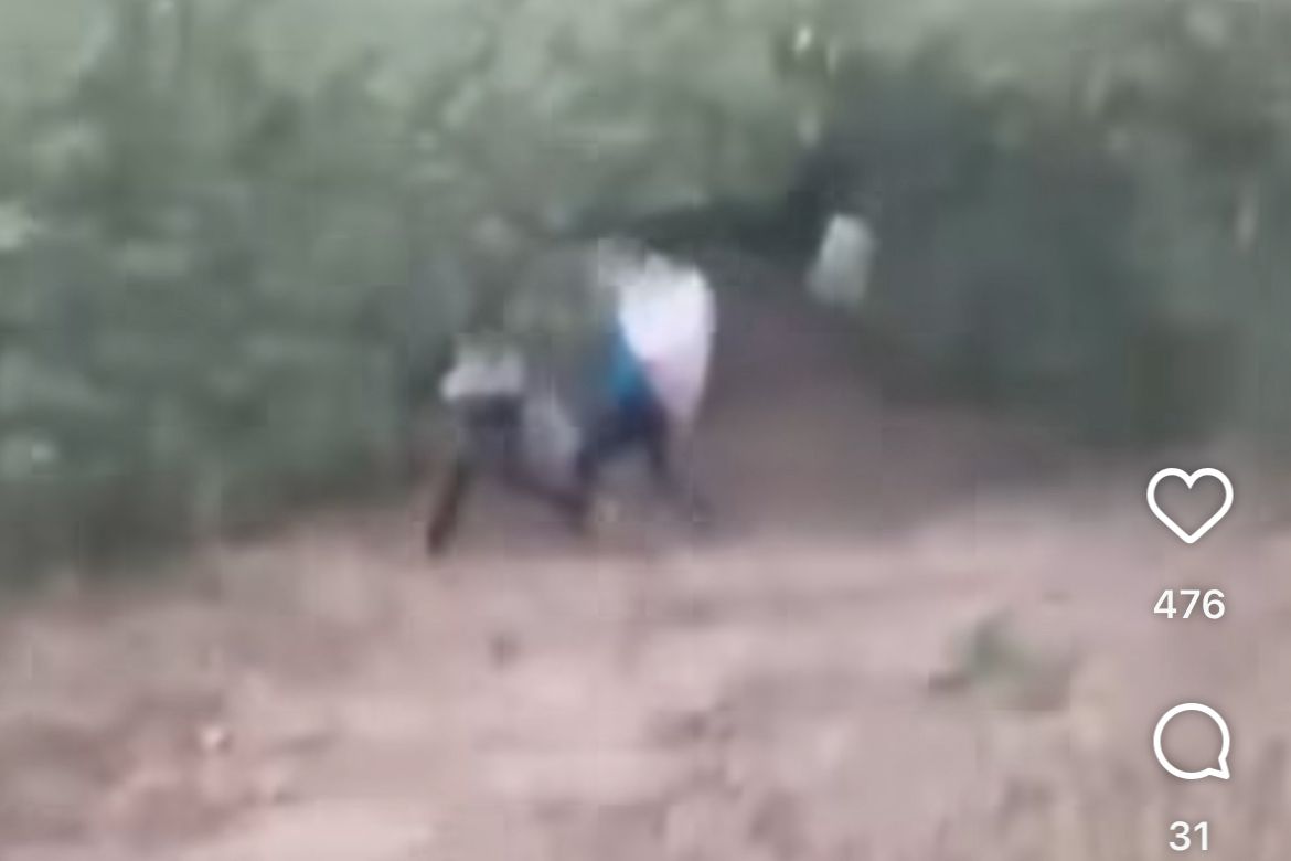 Kandıra’da fındık fareleri böyle basıldı! Büyük operasyon