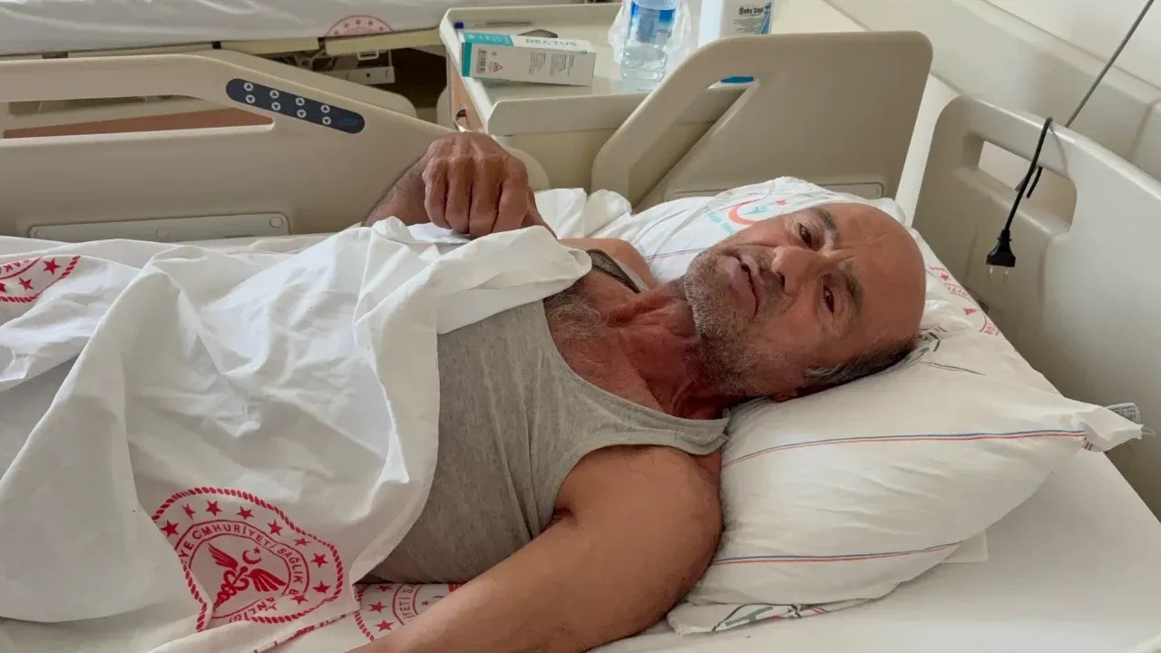 Sakarya’da ayı saldırısına uğradı, ağaca tırmanarak kurtuldu