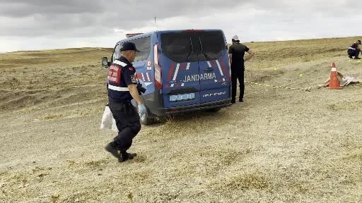 Sadık köpek cinayete kurban giden sahibinin yanından ayrılamadı