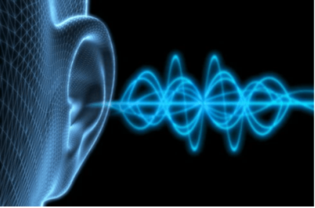 Yüksek Sesle Müzik Tartışması Cinayetle Sonuçlandı