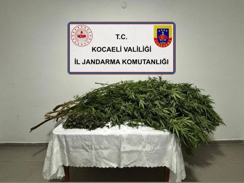 Kocaeli’de Uyuşturucu Operasyonu!
