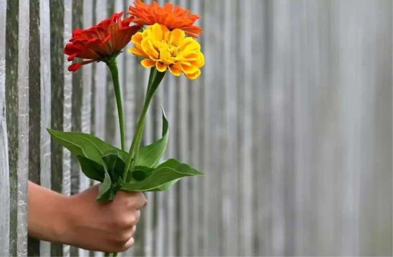 Dünya İyilik Günü: Küçük Bir İyilik Dünyayı Değiştirebilir!