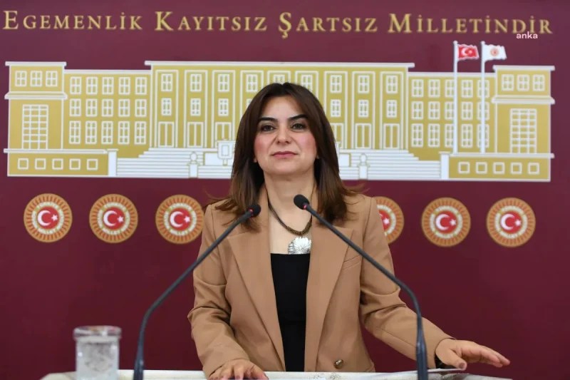 DEM Partili Koçyiğit’ten Kürt Toplumuna Mesaj!
