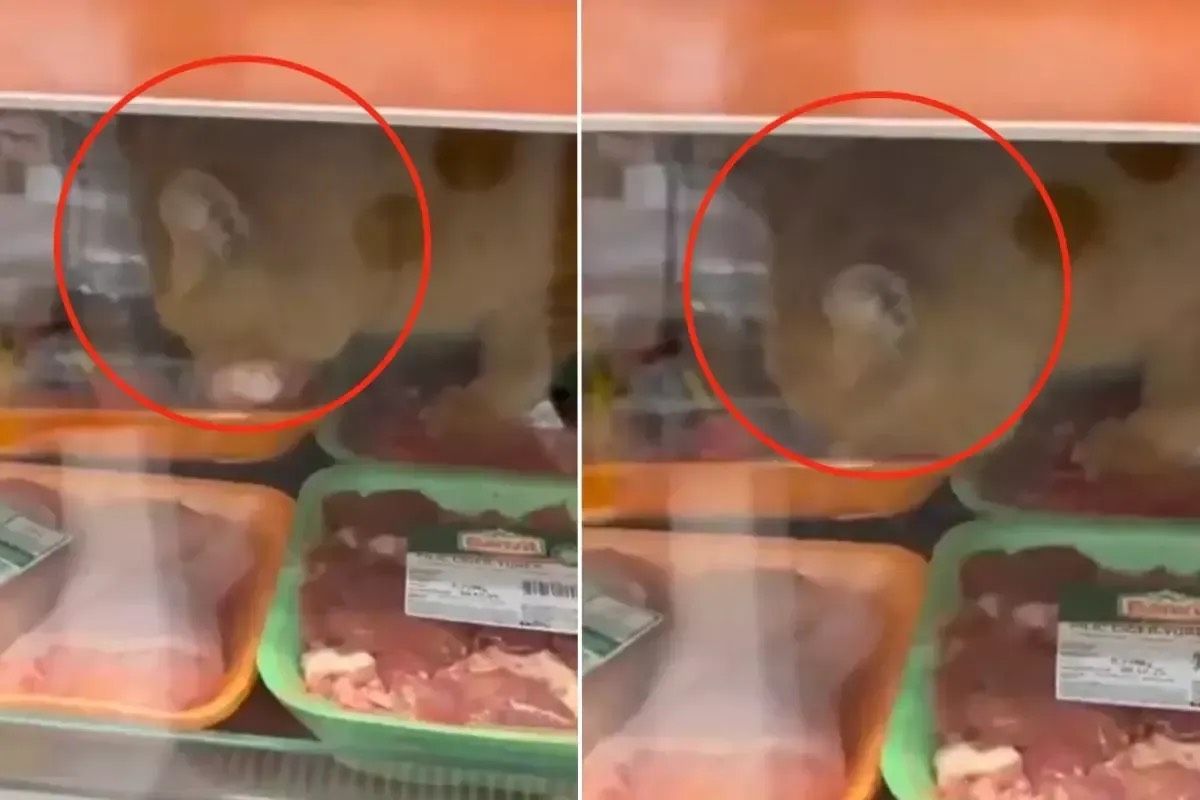 Beylikdüzü’nde Zincir Markette Şok Görüntüler!