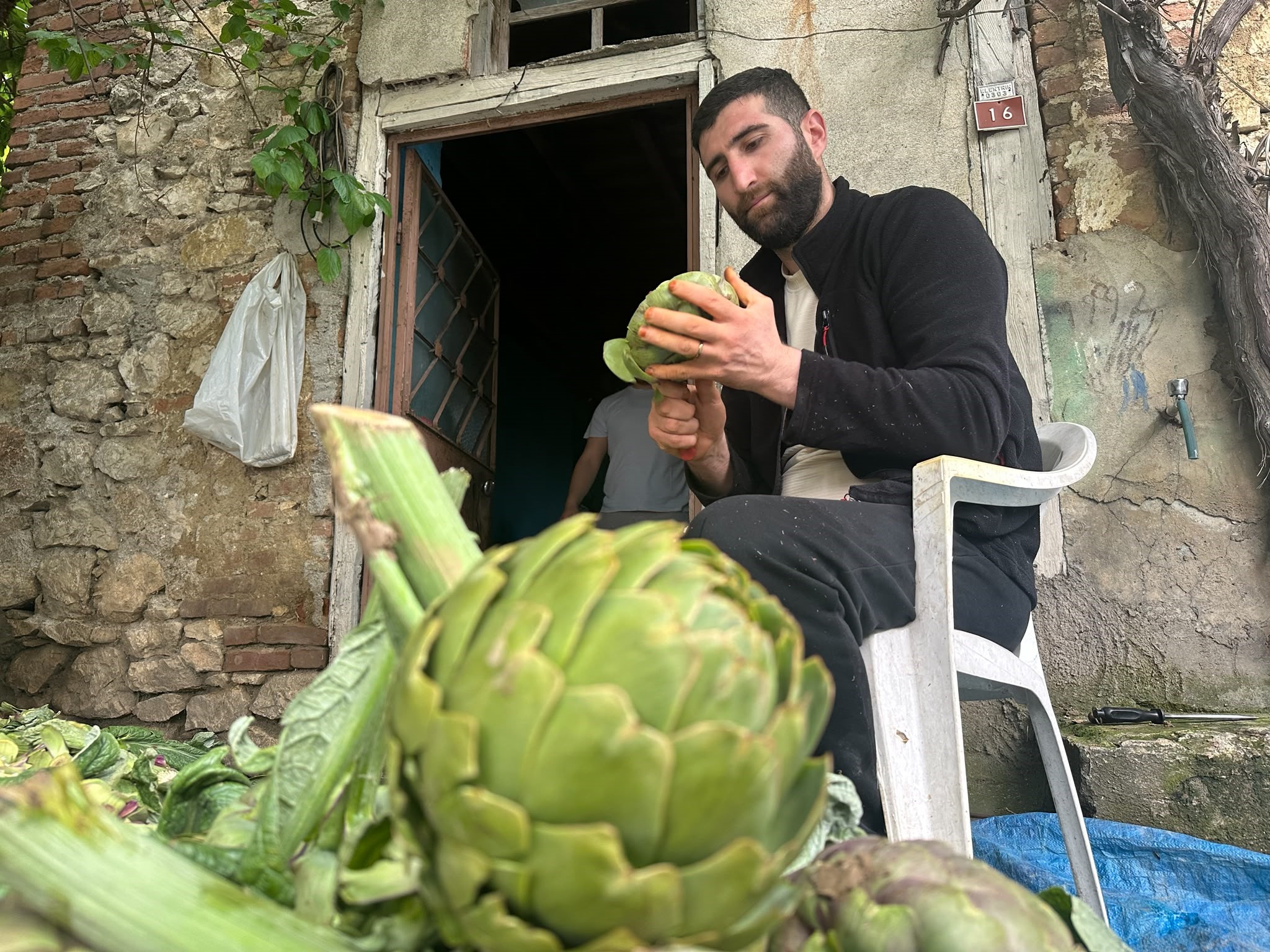 Enginar soyarak aylık 240 bin lira gelir elde ediyor