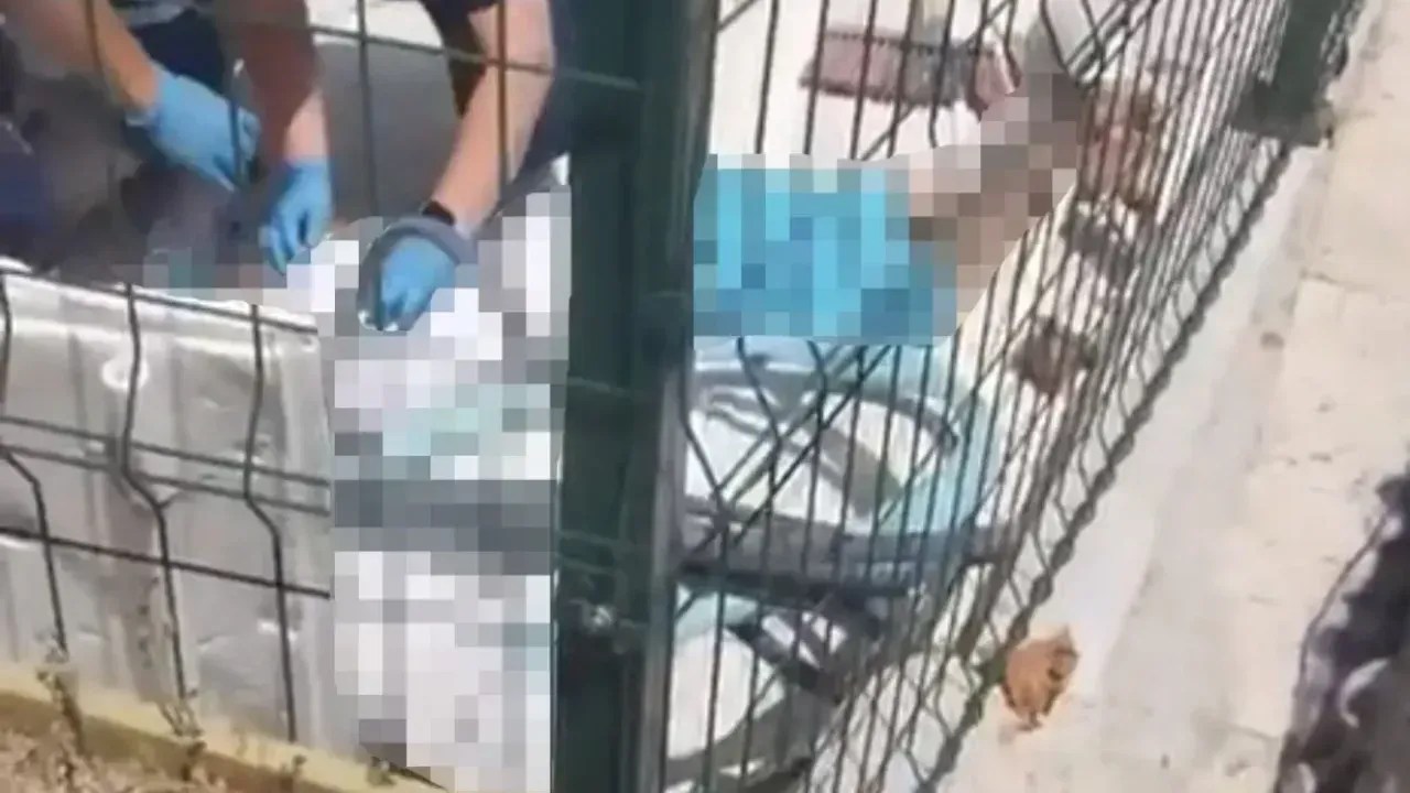 Yarı çıplak sokağa çıkan kadın balkondan atladı