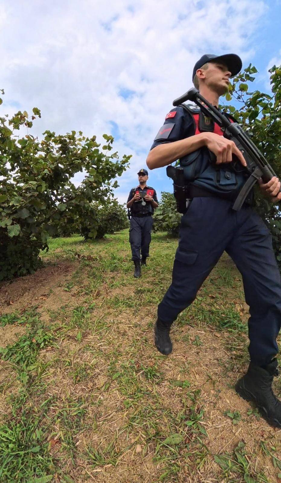 Kandıra’da Fındık Tarlalarına Jandarma Takibi