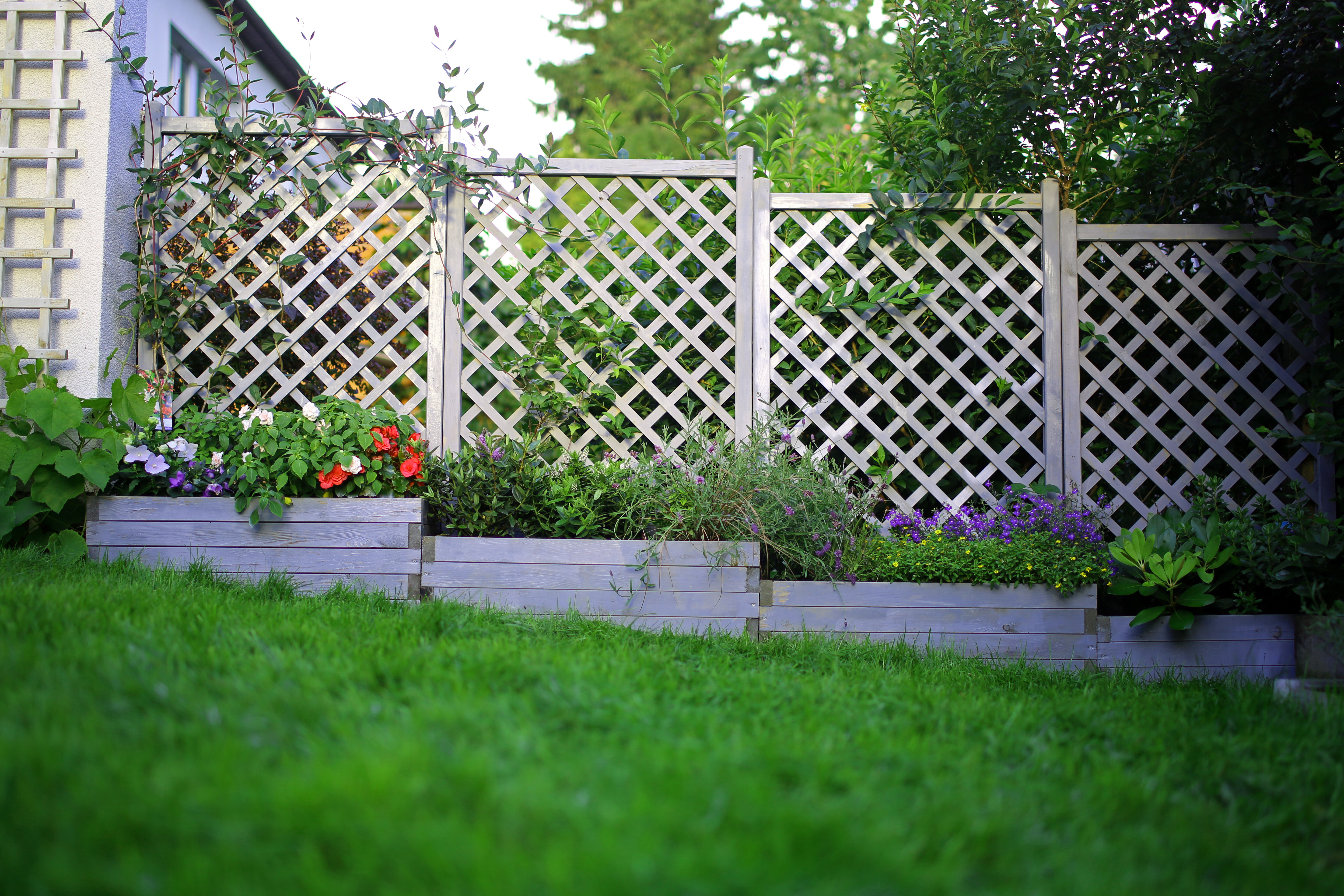 Aed 2016. Foto: Meelis Tomson