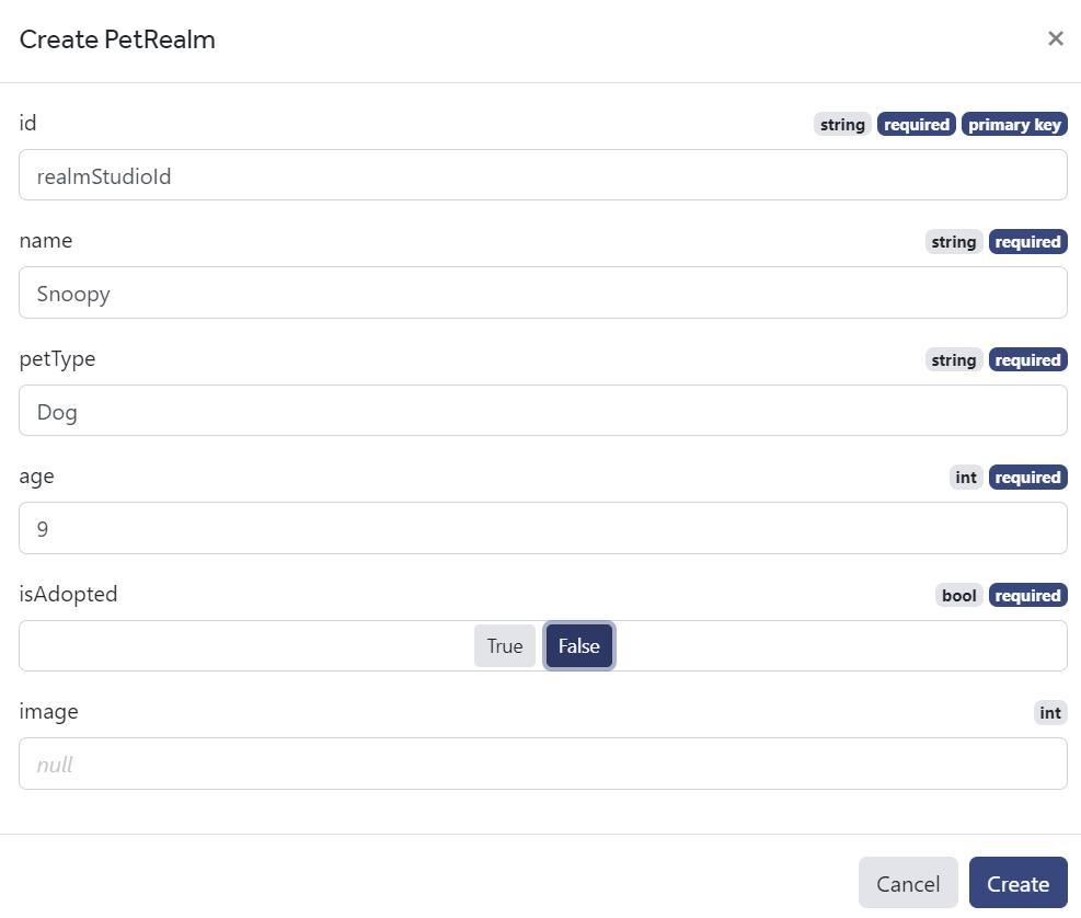 Realm database on android: getting started