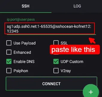 Configuring UDP on HTTP Custom