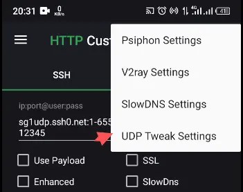 Configuring UDP on HTTP Custom