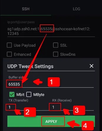 Configuring UDP on HTTP Custom