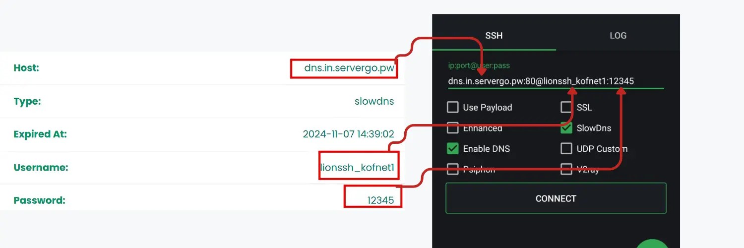 Slow DNS on HTTP Custom