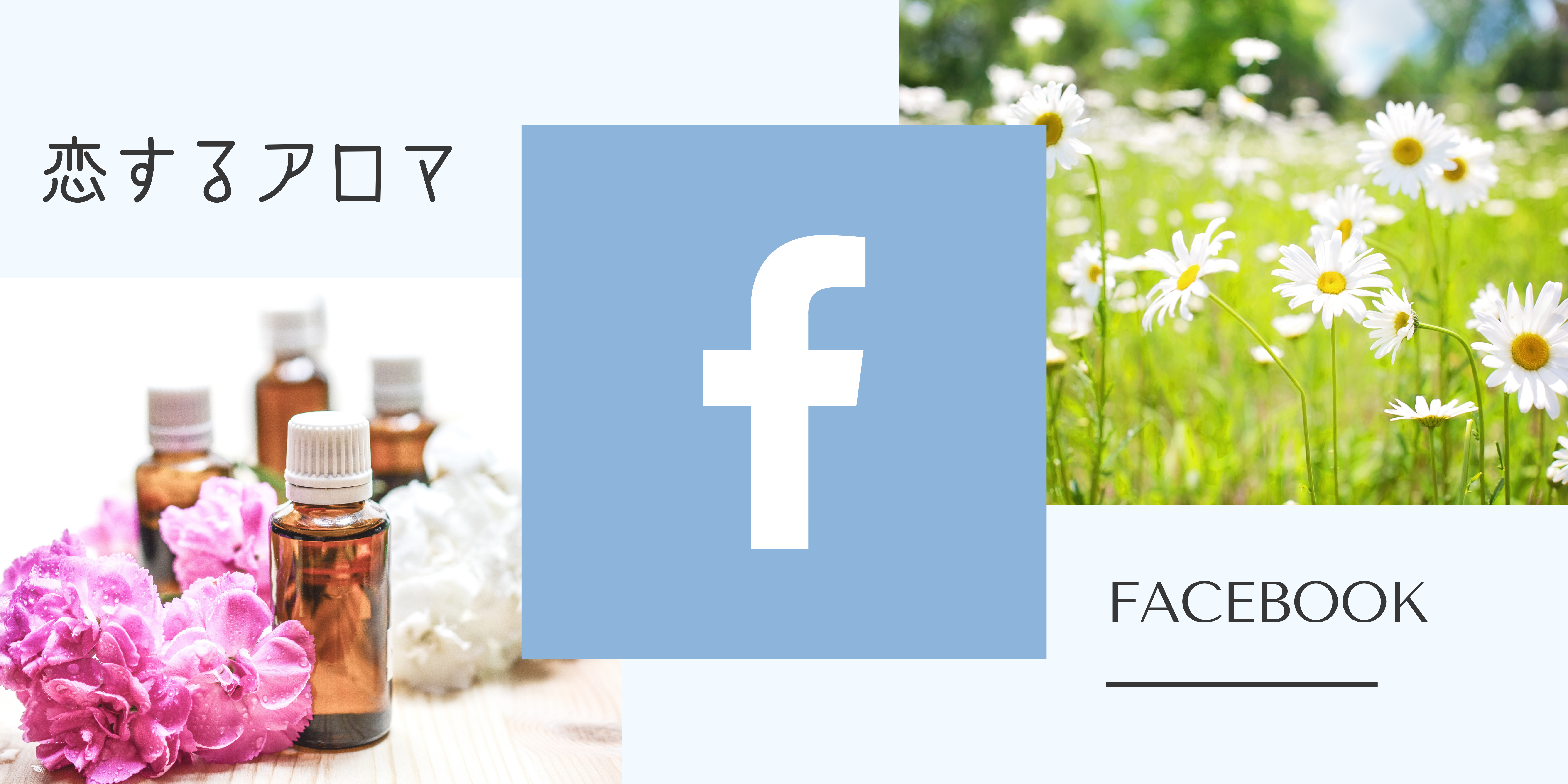 フェイスブック
