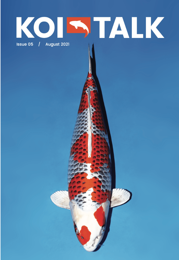 Koi Talk Issue 5