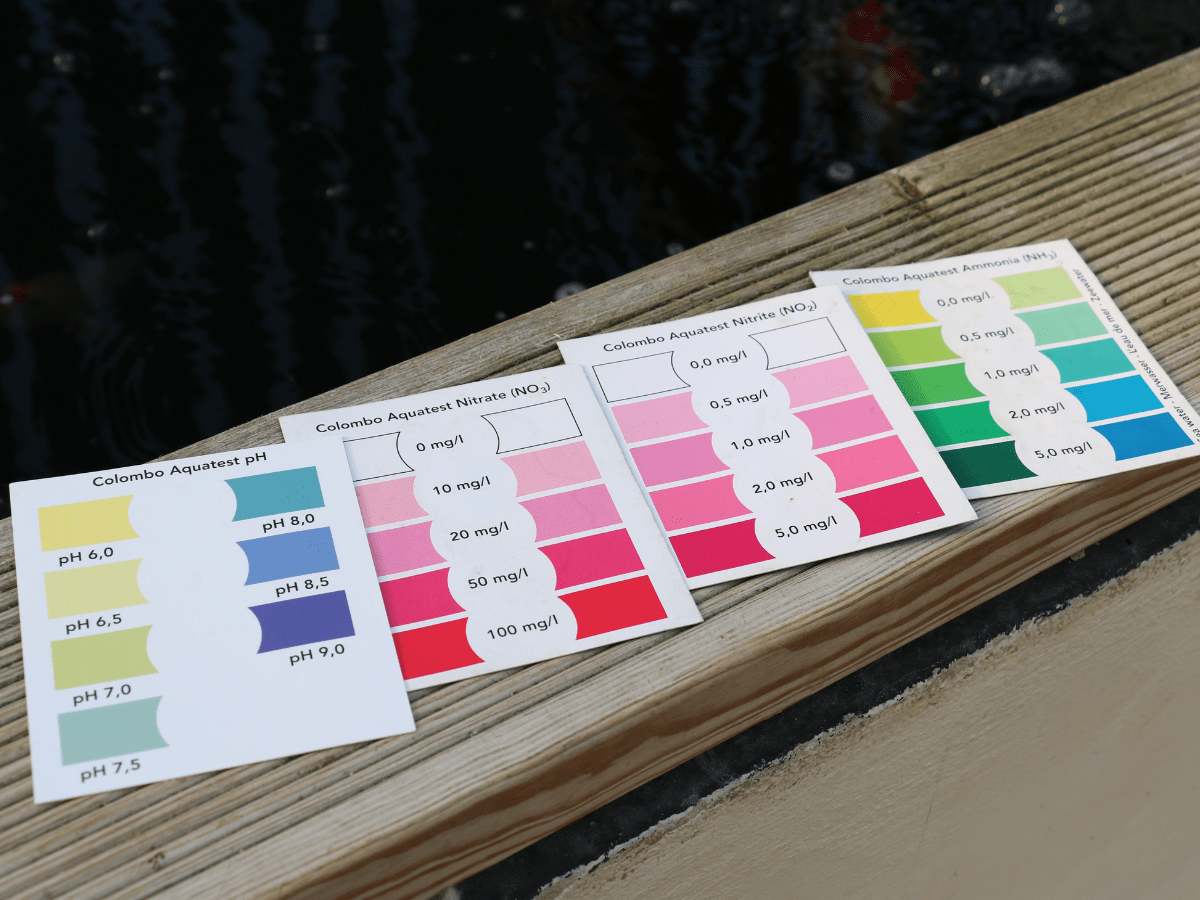 Testing Pond Water Quality Koi Talk Magazine