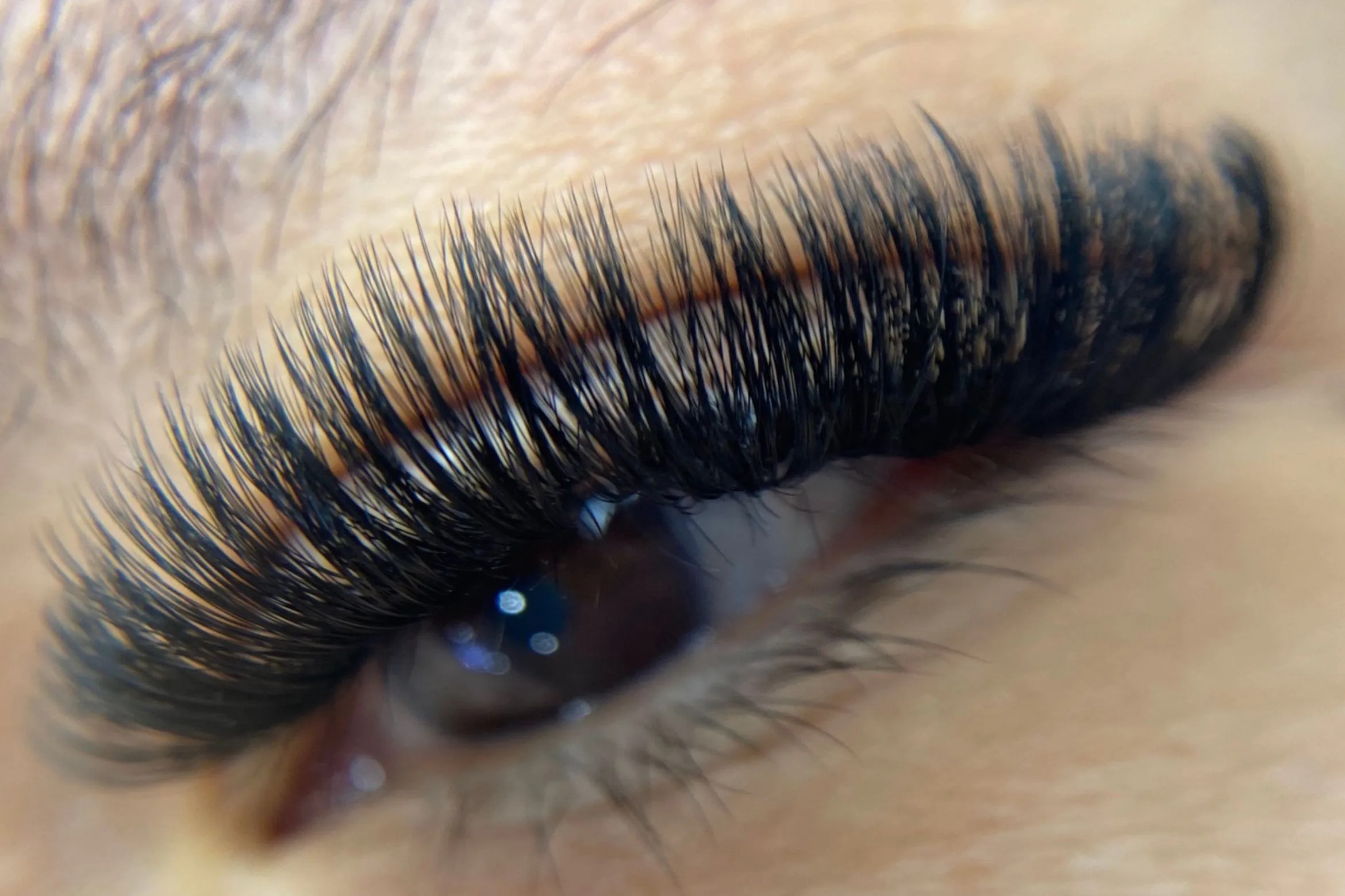 Lash Extensions Tucson