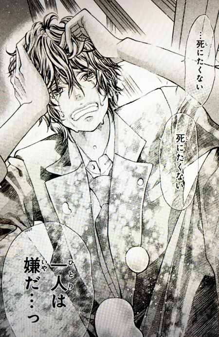 少女漫画 きょうのキラ君 純血彼氏など 少女漫画 きょうのキラ君 純血彼氏など きょうのキラ君（9）＜完