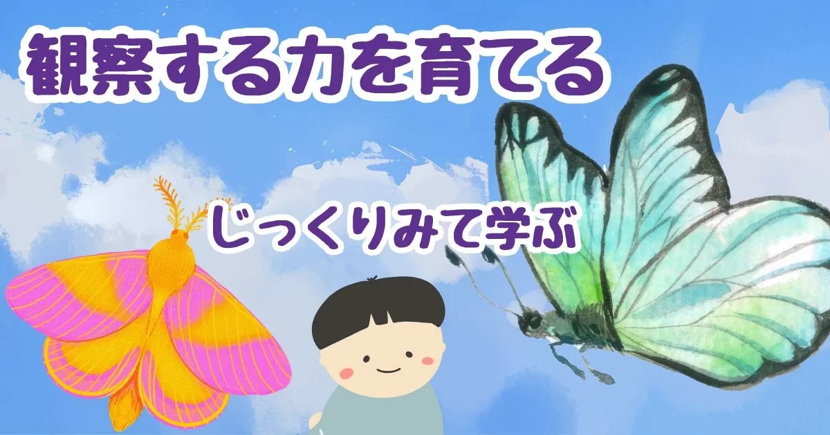 観察する力を育てる。じっくりみて違いを見つける。
