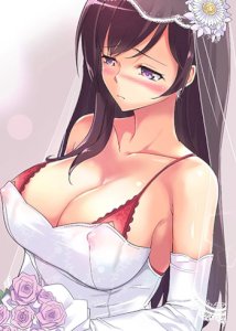 Komik Bride Training
