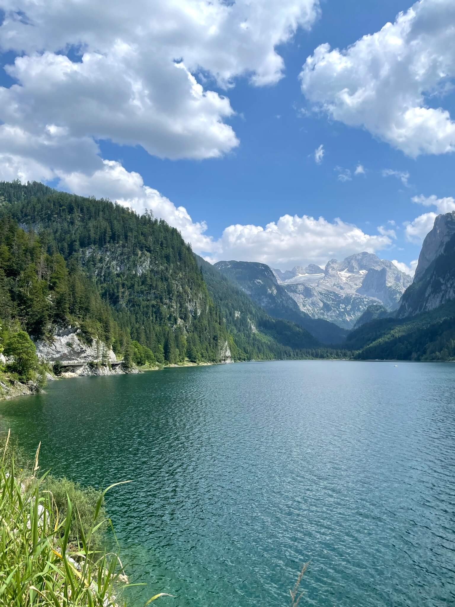 Blick auf den Gosausee und die Dachsteine Alpen