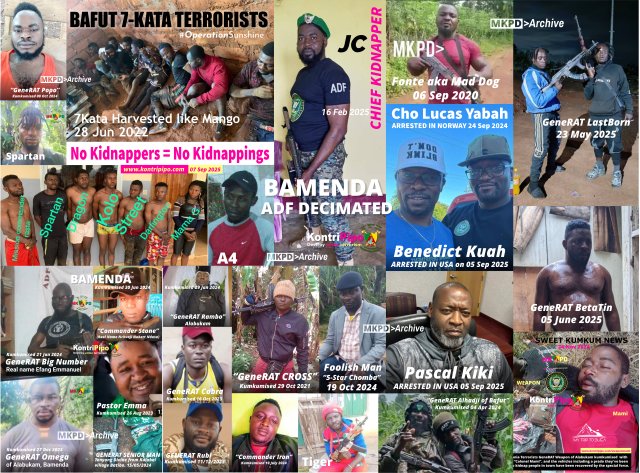 ADF BAMENDA DECIMATED - Kidnappings Reduce because Kidnappers kumkumised