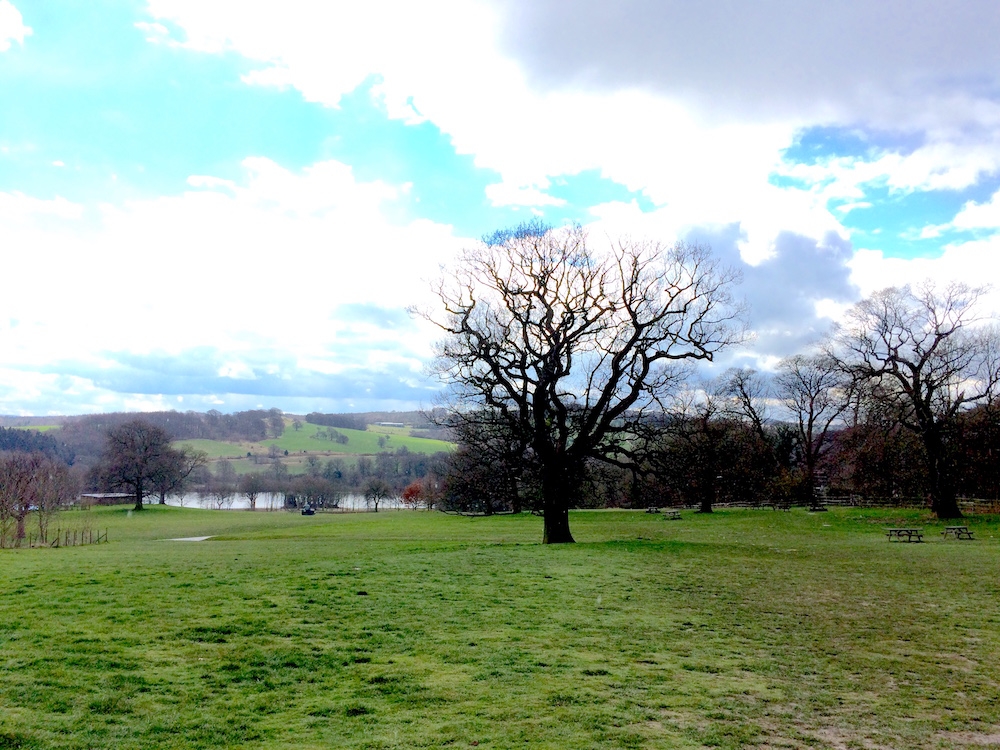 Yorkshire Sculpture Park: view of the country park