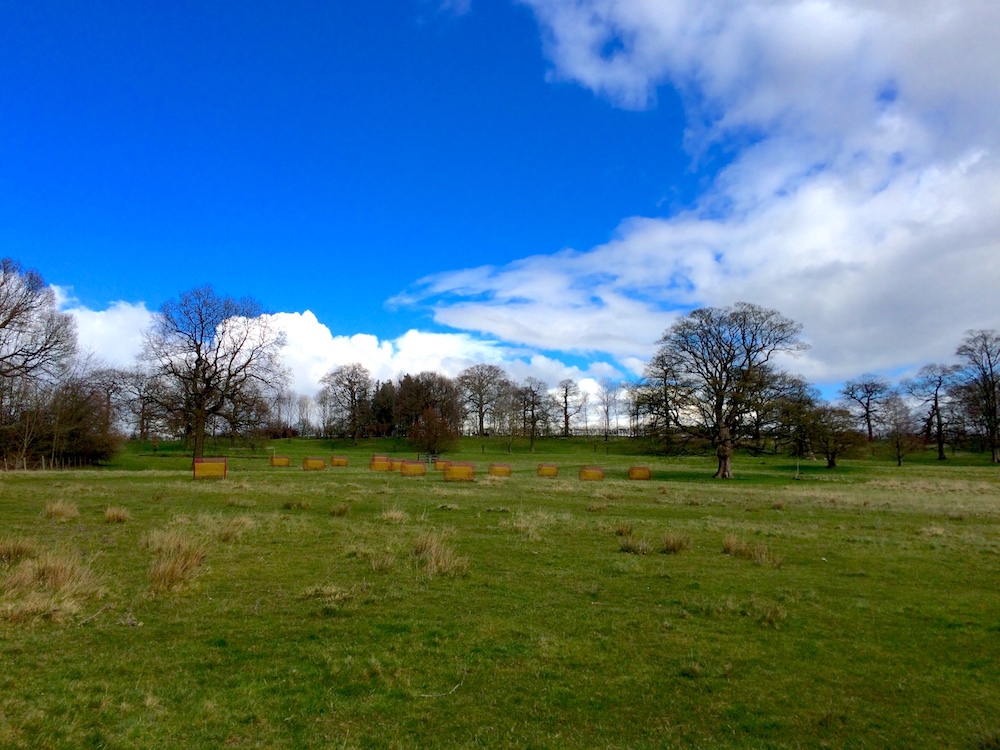 Yorkshire Sculpture Park: view of Summer Fields