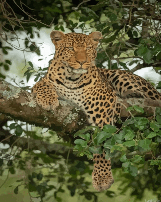 Leopard In Tree Painting By Numberss.png