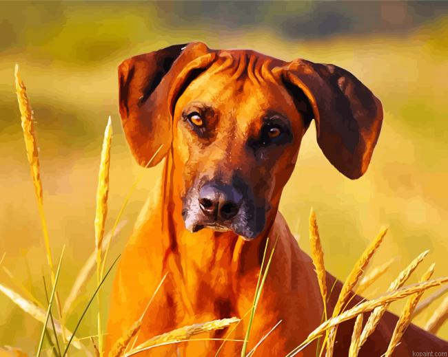Rhodesian Ridgeback Face Paint By Numbers.png