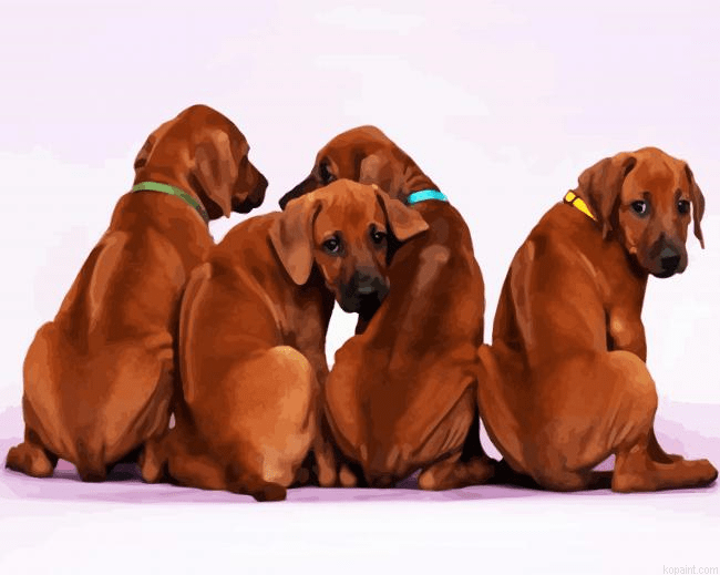 Rhodesian Ridgeback Puppies Paint By Numbers.png
